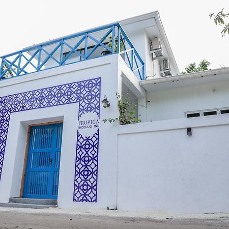 Tropica Thoddoo Inn, Maldives Экстерьер фото